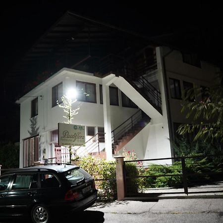 Passiflora Hotel Voineasa Bagian luar foto