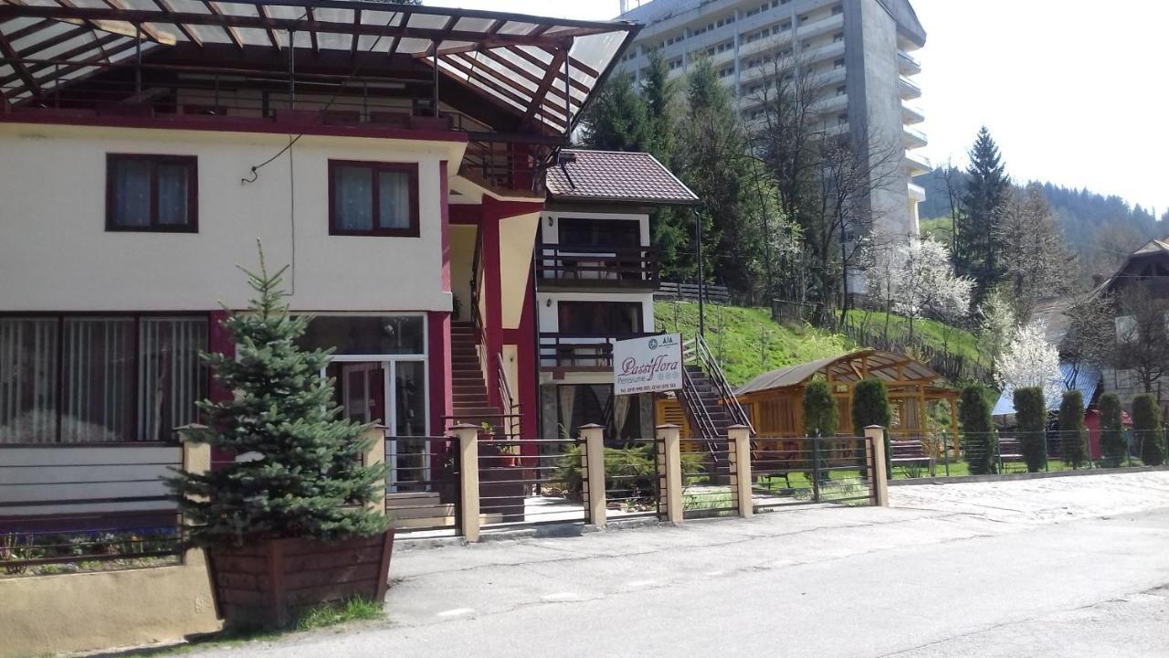 Passiflora Hotel Voineasa Bagian luar foto